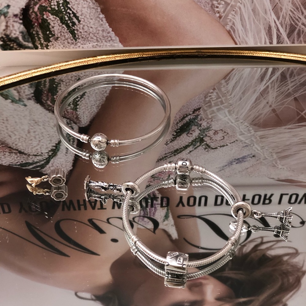 Pandora Bracelet / Charm Bundle - image 5